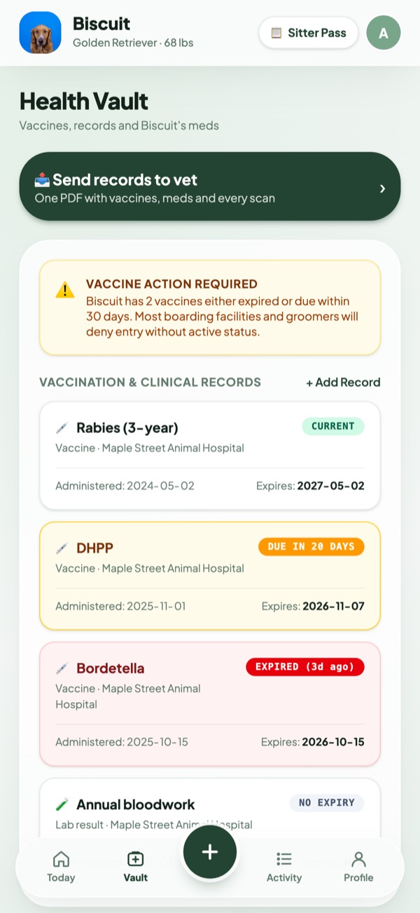 Medical vault with vaccine records and vet documents